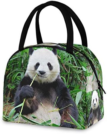 YYZZH Dev Panda Ayı Hayvan Yeme Bambu Orman Jungle Woodland Yalıtımlı Fermuar Öğle Yemeği Çantası Soğutucu Yemek Hazırlık
