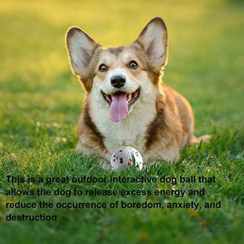 Agresif Çiğneyiciler için Köpek Topları Oyuncakları,Dayanıklı Kabarık Köpek Topu,Hafif ve Yüzer, Büyük Orta Cins için