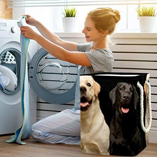 Inhomer Iki Sevimli Labrador Retriever 300D Oxford PVC Su Geçirmez Giysiler Sepet Büyük çamaşır sepeti Battaniye Giyim