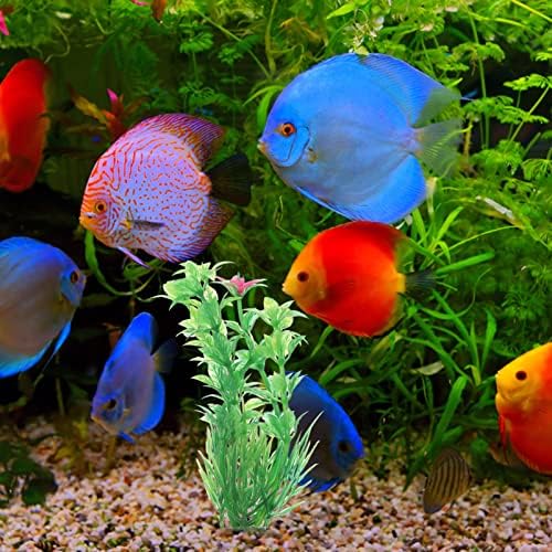 Ipetboom Balık Tankı Süslemeleri 10 Adet Balık Tankı Bitkileri Akvaryum Bitkileri Plastik Yeşil Su Bitkileri Dekoratif