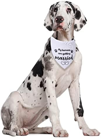 Benim İnsanlar Evleniyor Evet Dedi köpek Bandana Yaka Düğün Nişan Pet Eşarp Aksesuarları Önlükler Köpek Kedi için