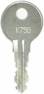 Hava Koruması K754 Yedek Araç Kutusu Anahtarı: 2 Anahtar
